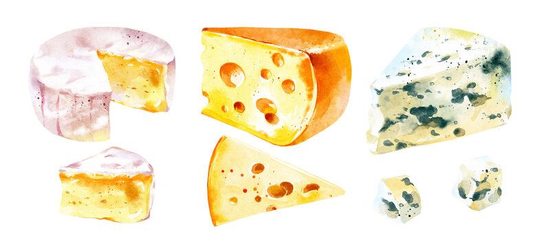 Watercolor hand drawn realistic cheese set. Painted isolated illustration on white background. Packaging food design