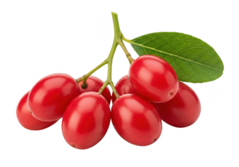 Cluster of bright red oval berries with a single green leaf berry fruit