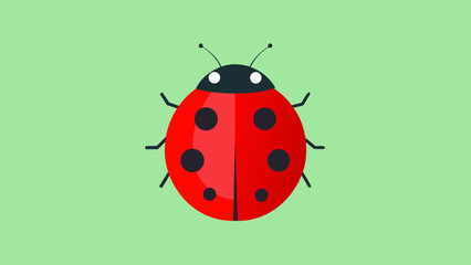 Fototapeta premium A simple and attractive cartoon illustration of a ladybug on a green background