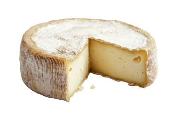 Slices of delicious cheese with herbs and spices isolated on transparent background. Cheese isolated on white background.