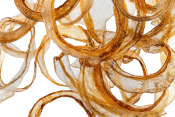 Fried brown onion isolated on transparent background. Golden brown onion rings isolated on white background.