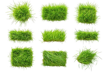 Square and circular patches of vibrant green grass isolated on transparent background. Collection of top view vibrant green grass patches isolated on white background.