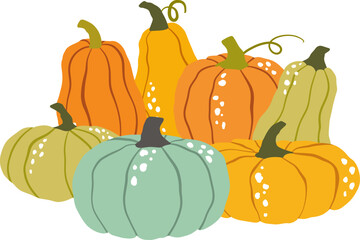 Pumpkins, gourds, seasonal vegetables, autumn harvest. For autumn decorations, harvest themes, kitchen textiles, food packaging, seasonal print.