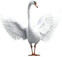 realistic swan