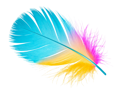Abstract Multicolored Feather with Neon Edges, Floating in Air, Transparent PNG