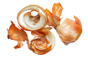 Dried onion skins and layers arranged artistically isolated on transparent background.