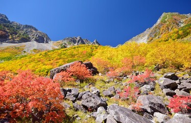 涸沢カールの紅葉と穂高連峰