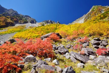涸沢カールの紅葉と穂高連峰