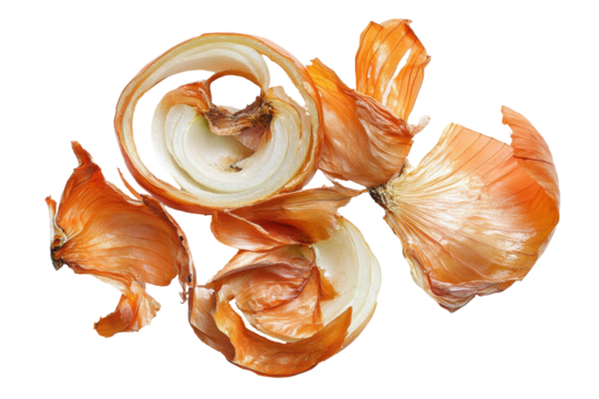 Dried onion skins and layers arranged artistically isolated on transparent background.