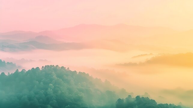 Sunrise mist gradient transitioning from pale yellow to soft pink .