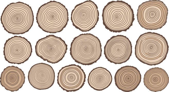 Tree ring pattern vector illustration for background design wood texture tree stump log slice set design