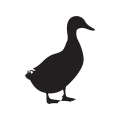 Obraz premium Black silhouette of a duck standing on white background bird