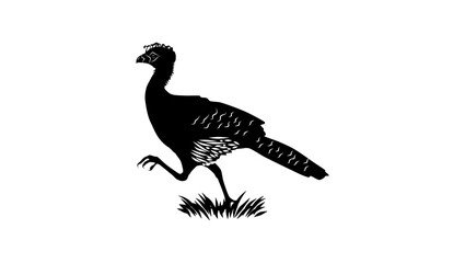 Bare-faced Curassow, black isolated silhouette