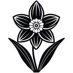 Obraz premium A stunning black and white lily, elegantly isolated and perfect for any design