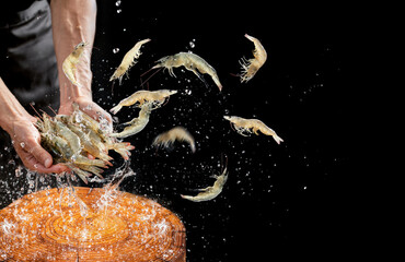 Shrimp jumping in the chef's hand, black background and high speed photography