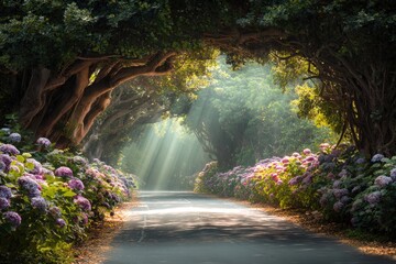 Sunlight-drenched pathway through a tunnel of trees and flowers