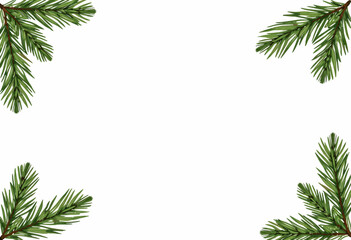 Pine branches framing a blank white background for design  