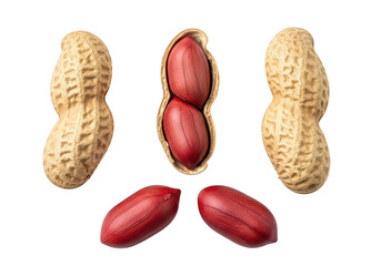 Three unshelled peanuts and two shelled peanuts with red skins legume snack