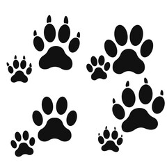 Fototapeta premium Vector art of collection of black paw prints on isolated background