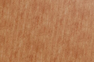 Fototapeta premium A close-up reveals a textured, light-brown surface with subtle variations in shade and tone, creating a mottled, almost fibrous appearance. The texture is consistent throughout