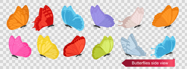 Collection of vibrant side view butterfly in various colors on a transparent background, ideal for nature or design projects. Vector illustration
