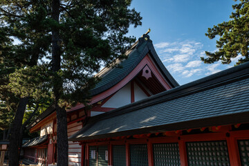 Naklejka premium 日本、大阪、住吉大社、神社、青空、木、緑、夏、木造の建物、鳥居、橋、写真素材