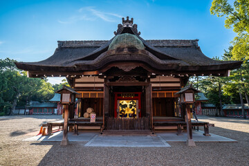 日本、大阪、住吉大社、神社、青空、木、緑、夏、木造の建物、鳥居、橋、写真素材