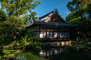 Naklejka premium 日本、大阪、住吉大社、神社、青空、木、緑、夏、木造の建物、鳥居、橋、写真素材