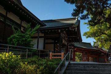 日本、大阪、住吉大社、神社、青空、木、緑、夏、木造の建物、鳥居、橋、写真素材