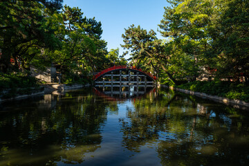 日本、大阪、住吉大社、神社、青空、木、緑、夏、木造の建物、鳥居、橋、写真素材