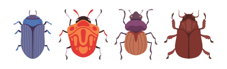 Insect Bugs and Beetle with Antenna and Multiple Legs Vector Set