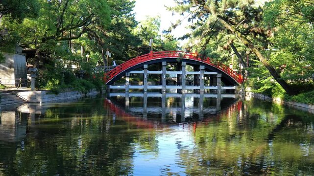 日本、大阪、住吉大社、神社、青空、木、緑、夏、木造の建物、鳥居、橋、写真素材
