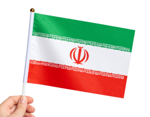 Hand Holding Small Iranian Flag on Stick, Slight Tilt, Clean Front View, Isolated PNG.