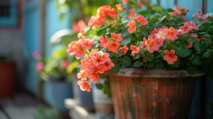 Naklejka premium Potted blossoms in an outdoor setting, creating a vibrant and colorful display against a rustic backdrop.
