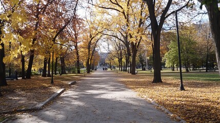 Fototapeta premium Autumnal park path lined with trees