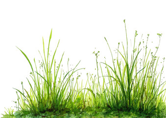 Lush green grass tufts