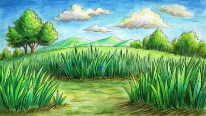 Obraz premium Vector sketch of green grass field on small rolling hills. Scenic rural countryside, meadows, pastures, grassland, farm field landscape. Peaceful nature panorama illustration design