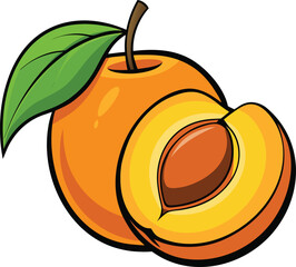 Cartoon Apricot with Pit and Leaf &ndash; Juicy Orange Fruit Vector Illustration