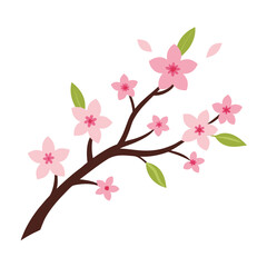 Obraz premium Beautiful cherry blossom branch