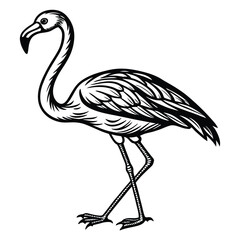 Obraz premium Vibrant vector illustration of a flamingo, perfect for tropical designs