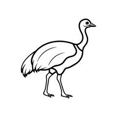 Obraz premium a cassowary bird line art silhouette vector illustration on white background
