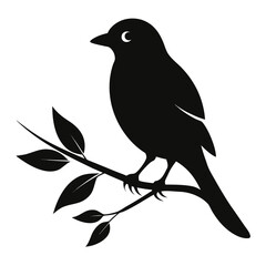 Bird sitting on branch silhouette vector