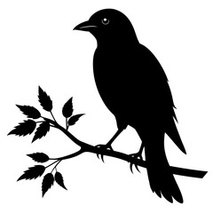 Bird sitting on branch silhouette vector