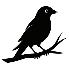 Bird sitting on branch silhouette vector