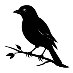 Bird sitting on branch silhouette vector