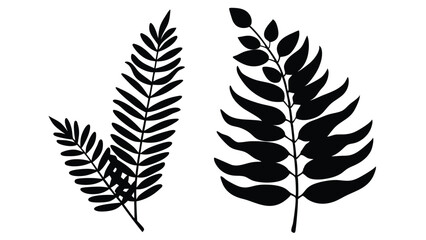 Obraz premium Minimalist Eucalyptus and Fern Leaf Doodles Botanical Vector Design Elements