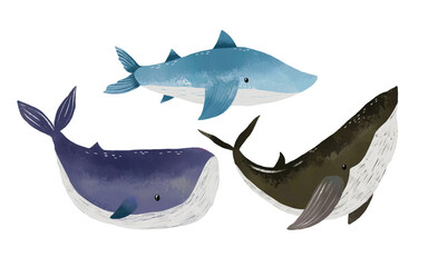 Hand drawn watercolor ocean ocra, shark and whale fish. Painted  Illustration..Underwater life greeting card