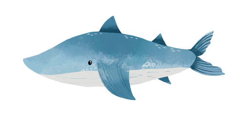 Hand drawn watercolor ocean blue shark fish. Painted  Illustration..Underwater life , ocean diving