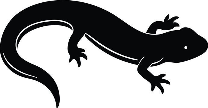 Newt amphibian creature silhouette vector art illustration