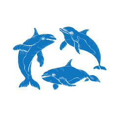 Vector hand drawn illustration of dolphins blue filling without stroke. Sketch detailed engraving style